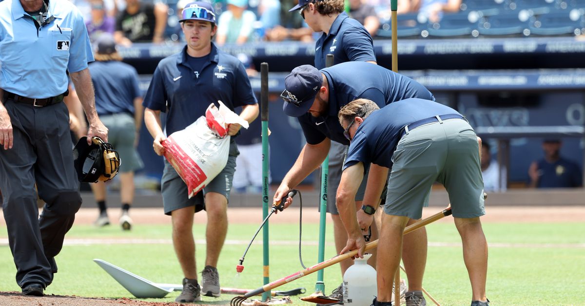 Game No. 61 - Texas Rangers at Tampa Bay Rays
