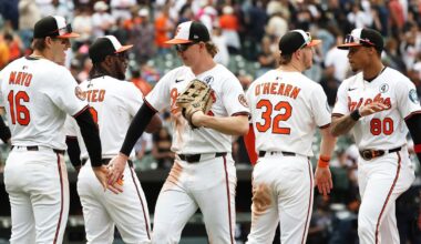 Monday Bird Droppings: Basking in a sweep