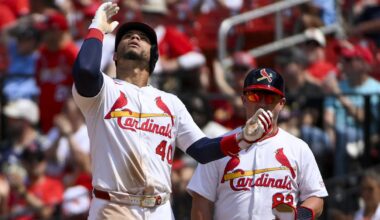 View From The Other Side: Cardinals Questions for Heather Simon from Viva El Birdos