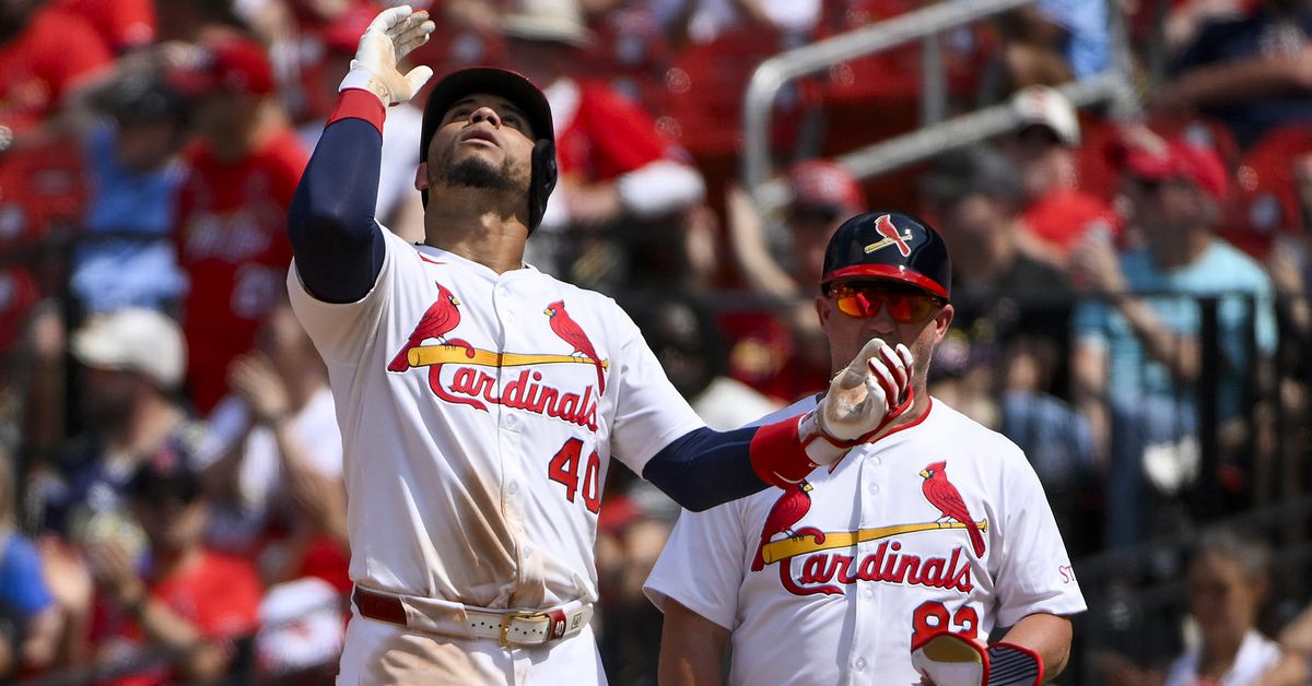 View From The Other Side: Cardinals Questions for Heather Simon from Viva El Birdos