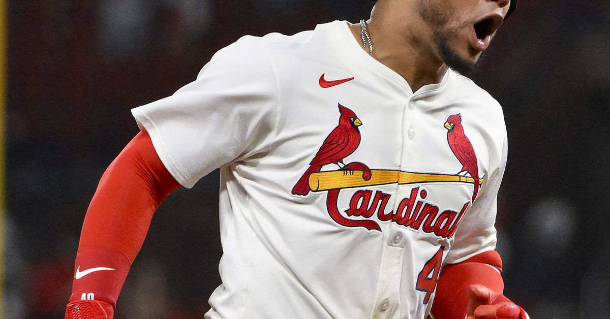 Blogger Day 2025 and Player Profiles