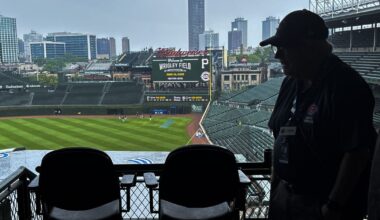 Cub Tracks’ silence on a wet afternoon