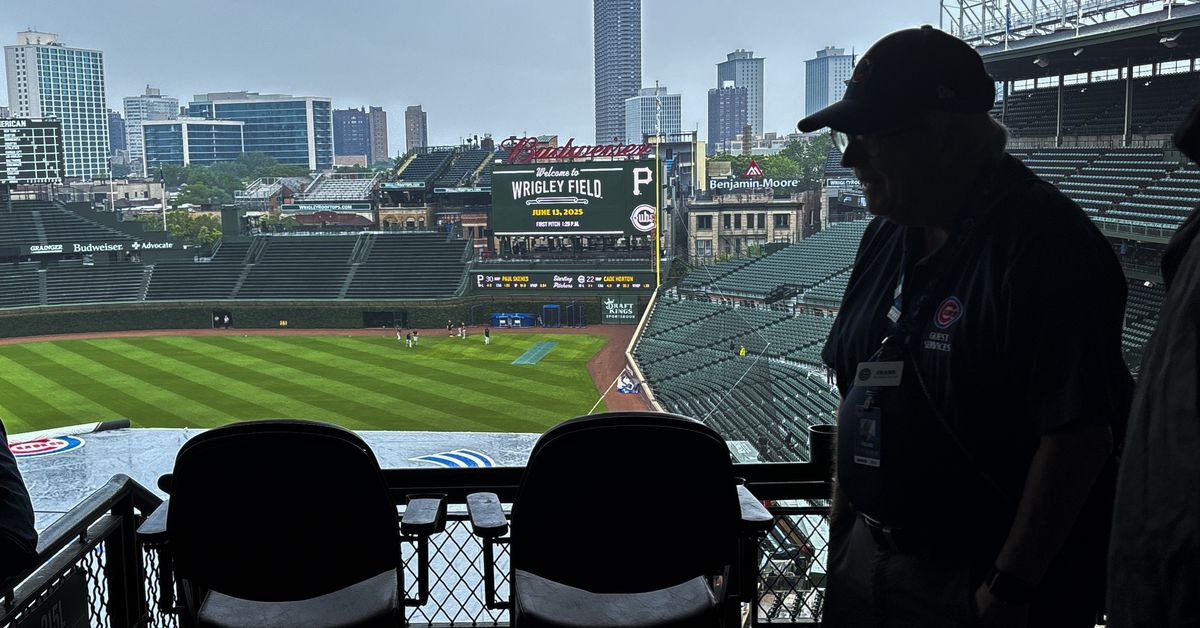 Cub Tracks’ silence on a wet afternoon