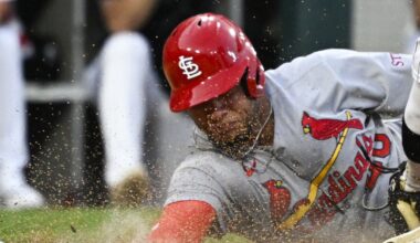 Winning Again - Viva El Birdos