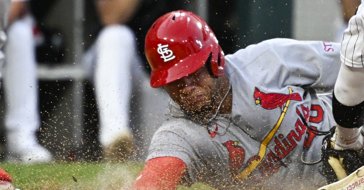 Winning Again - Viva El Birdos