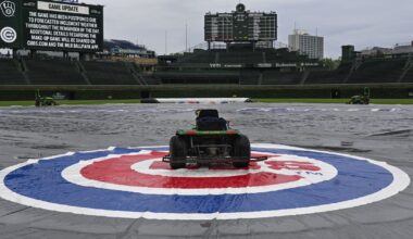 Cub Tracks waits for the meatloaf