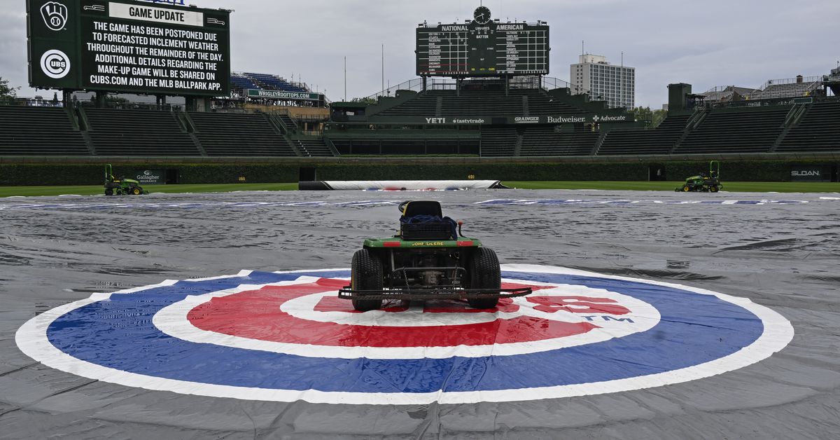 Cub Tracks waits for the meatloaf