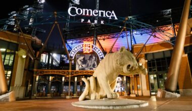 Cubs vs. Tigers Friday 6/6 game threads - Bleed Cubbie Blue
