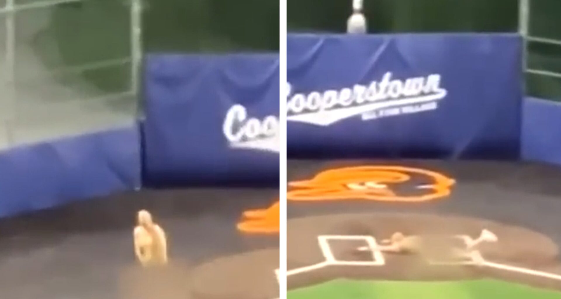 Youth Baseball Coaches Fired After Going Streaking At Ballpark