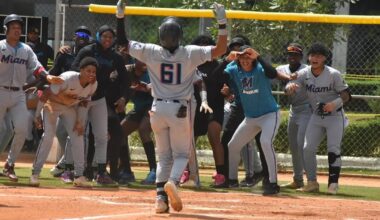 Marlins Minor League Report: Dominican dominance; new Triple-A pitching additions - Fish on the Farm