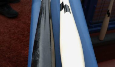 Torpedo bats cleared for use in games in Japan