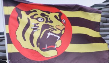 Where did Japan's Hanshin Tigers emblem come from? Icon gives glimpse into team's history