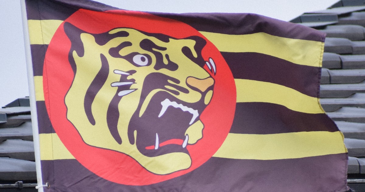 Where did Japan's Hanshin Tigers emblem come from? Icon gives glimpse into team's history