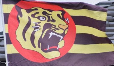 News in Easy English: Hanshin Tigers' famous tiger design reaches 90 years