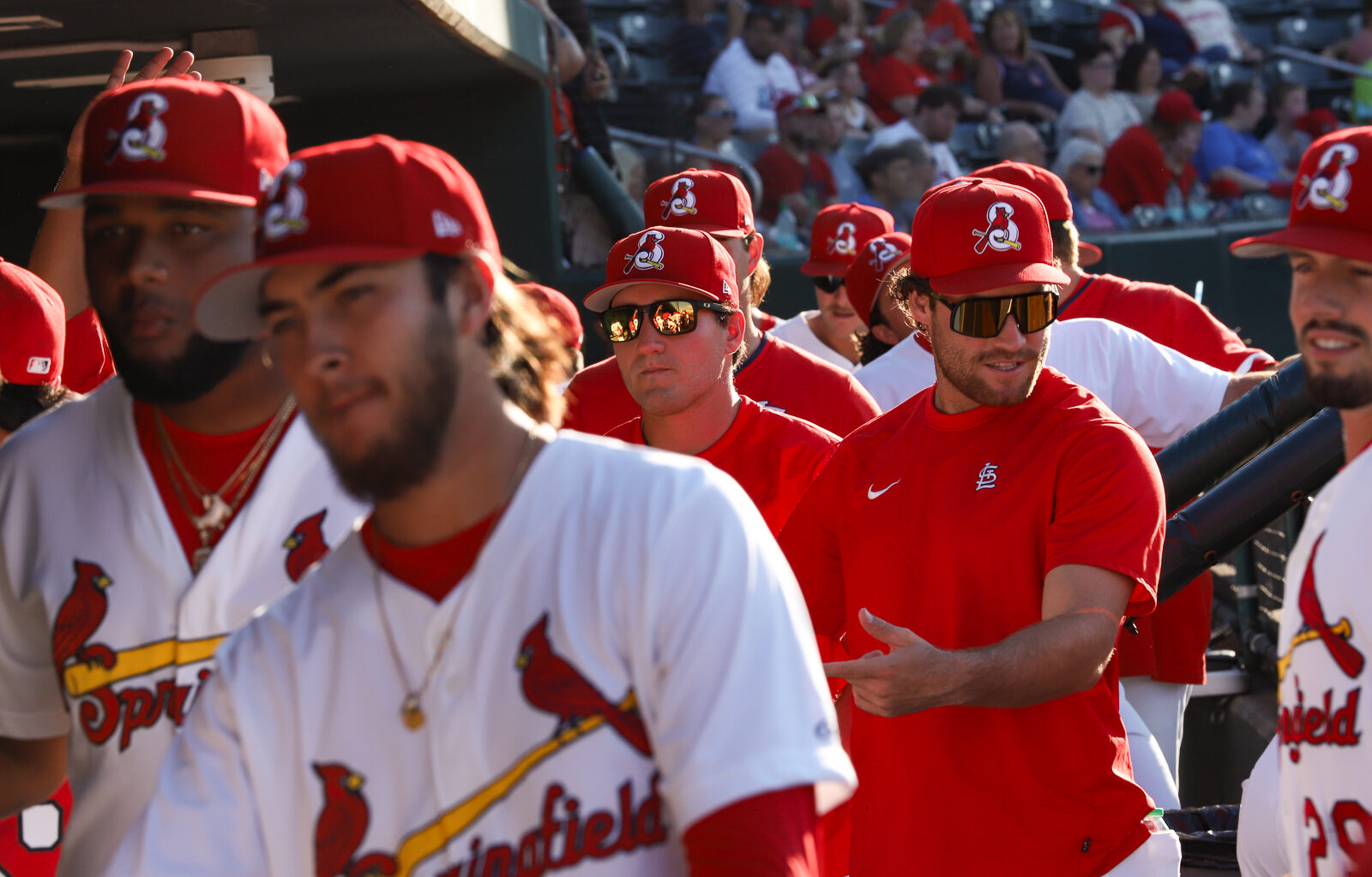 SGF Cardinals Insider: Redbirds are red-hot at the all-star break