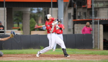 Cubs split with Kingsford, Appleton | News, Sports, Jobs