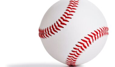 LSU Shreveport become 1st college baseball team to go unbeaten