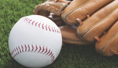 Cubs fall to Flying Squirrels in Sioux Falls