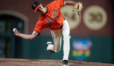 Mets' Tyler Rogers quietly one of MLB's best bullpen arms