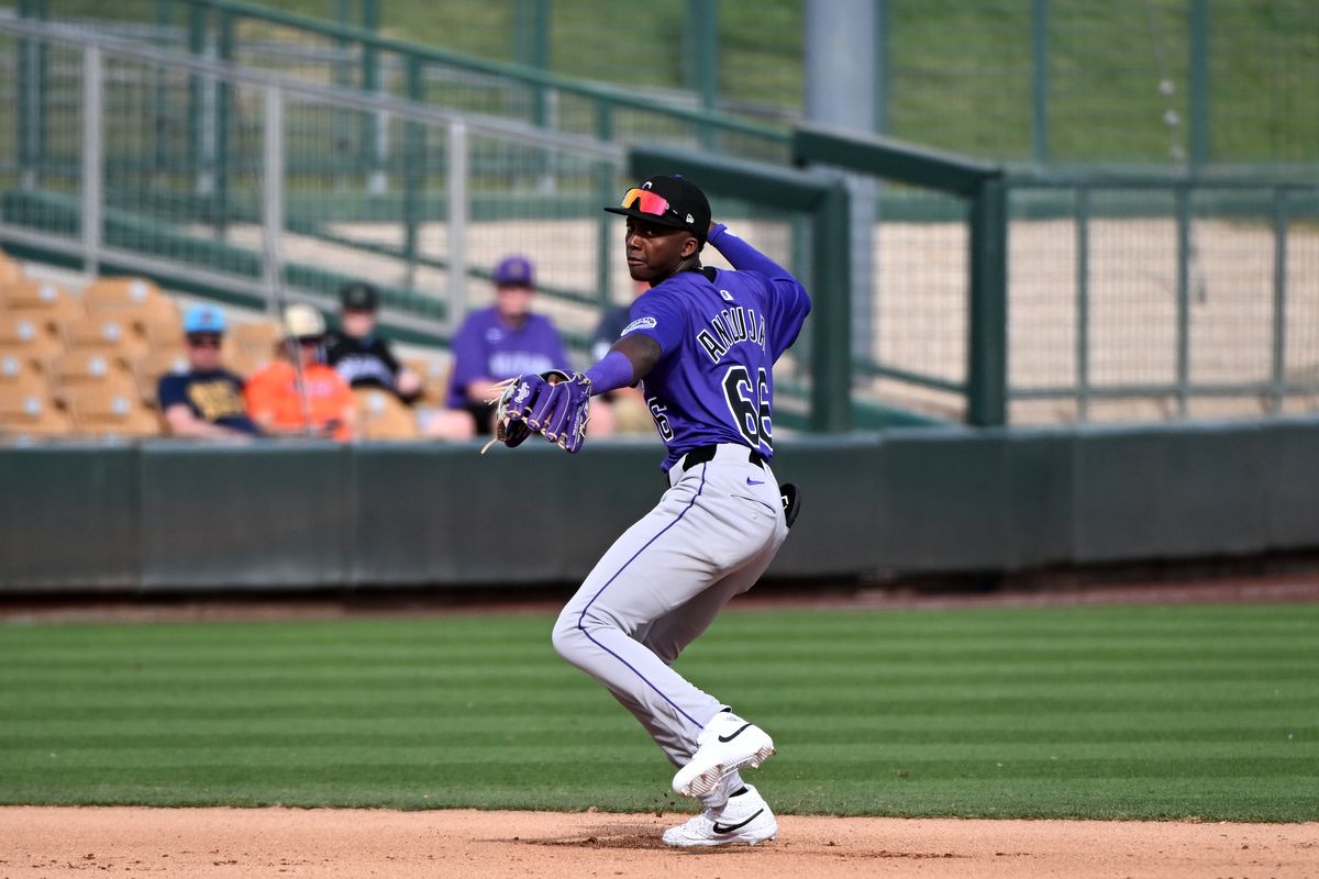 Spring Breakout - Colorado Rockies v Chicago White Sox