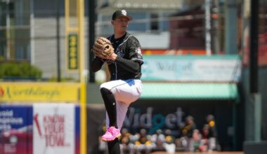 Troy Melton promoted to Detroit as expected, Tarik Skubal to the paternity list