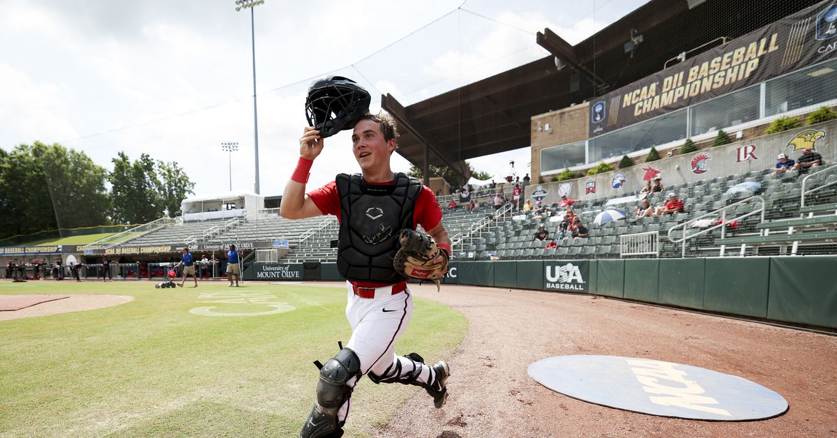 Atlanta Braves 2025 MLB Draft Preview: Scouting the MLB Draft League