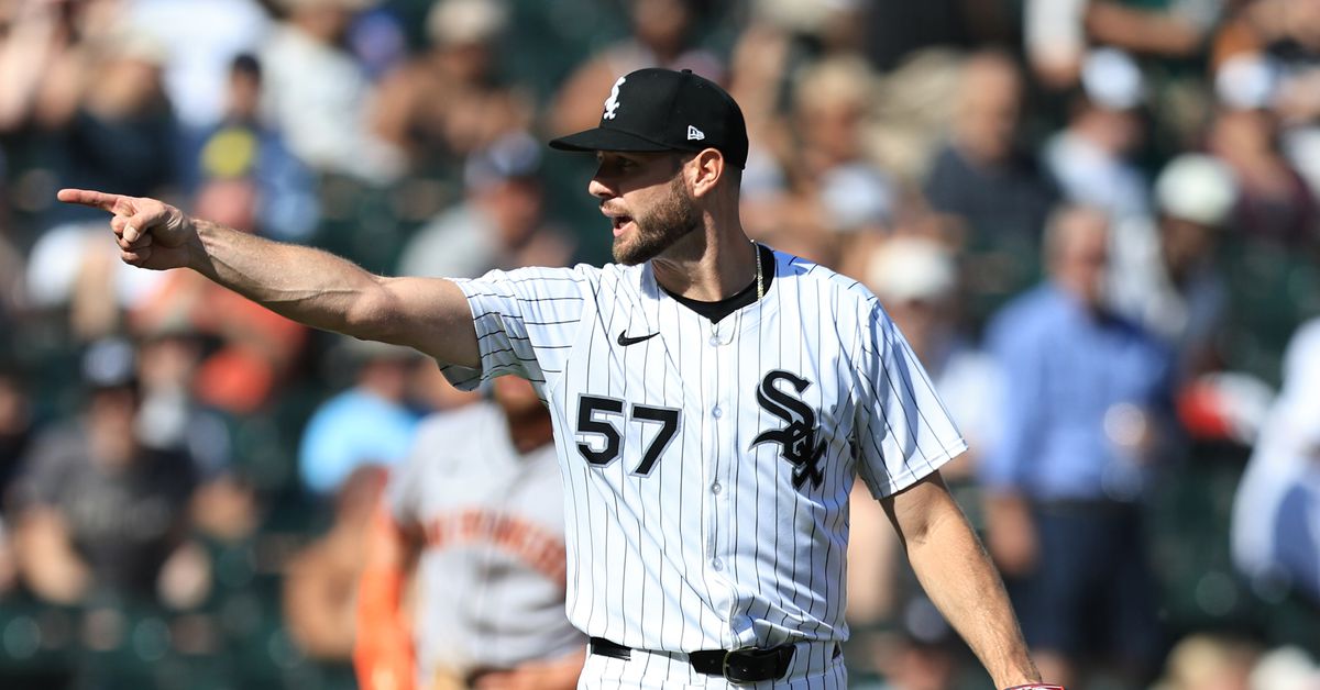 Chicago White Sox Commentary & Analysis: Should I Stay or Should Go: Adrian Houser