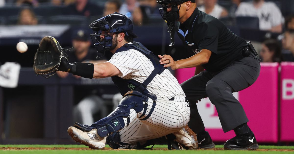 2020 MLB Draft review: The Yankees’ Austin Wells pick
