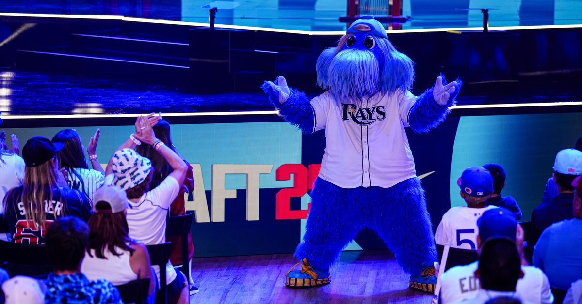 Rays Reacts Survey: 2025 MLB Draft Edition