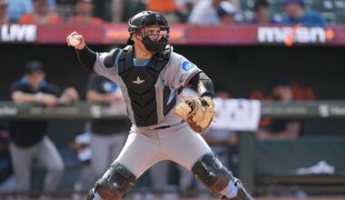 Get to Know Nick Fortes, the Rays new catcher