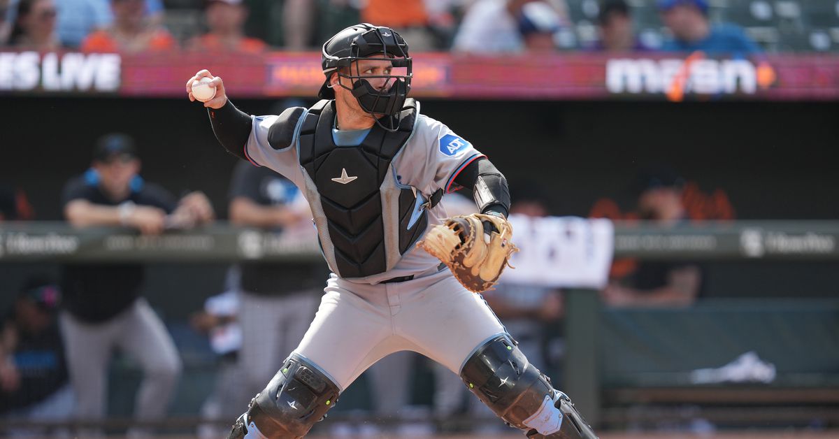 Get to Know Nick Fortes, the Rays new catcher