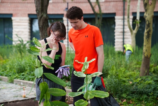 Friday, July 18, 2025 — Volunteers Lucinda Swanson and Shaun Davis look at their plant identifier findings on Swanson’s phone at Oriole Park in Camden Yards.