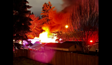 Jumping into the fire - A metaphor of how an MLB prospect progresses from rookie to veteran