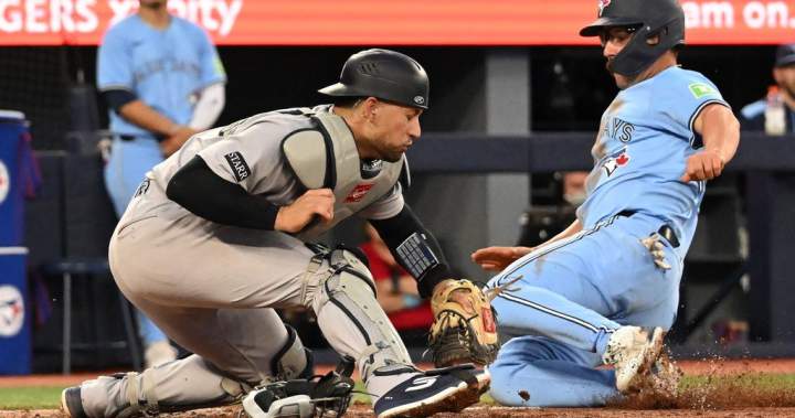 Toronto Blue Jays drum up much betting interest