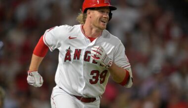 Former Seibu player David MacKinnon hopes to connect baseball world with new podcast