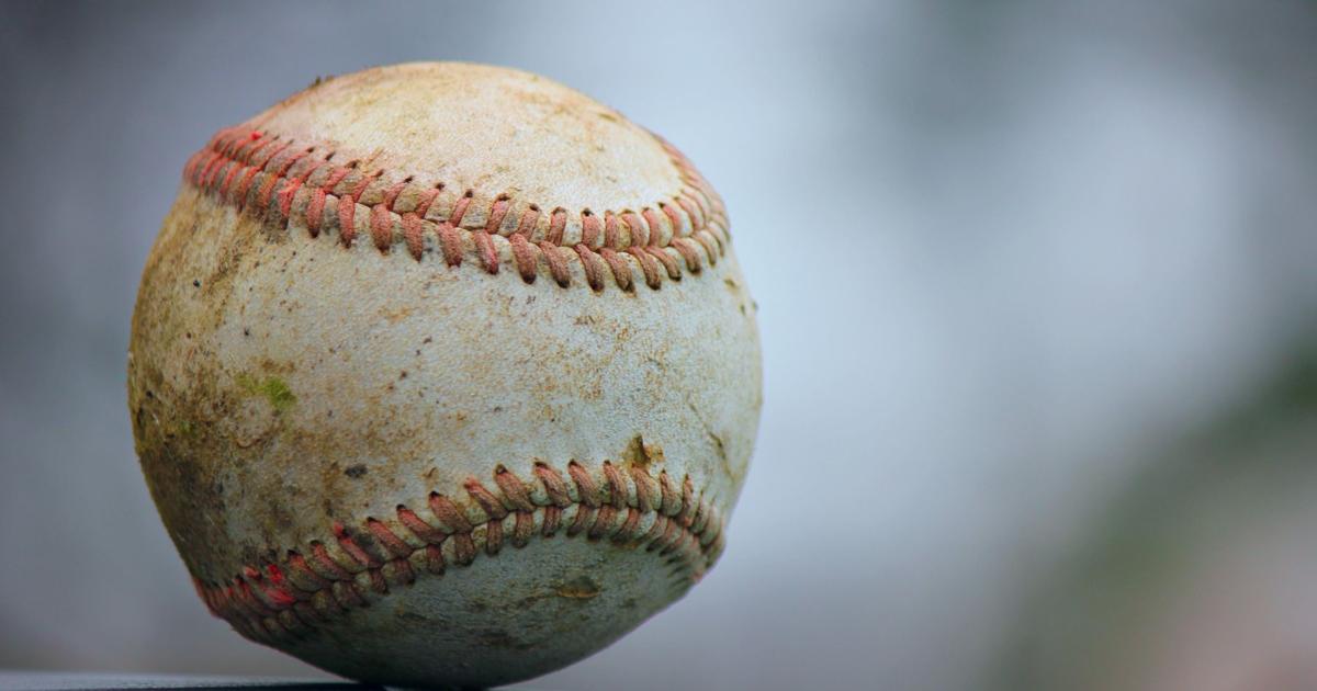 Selinsgrove 8-10 Baseball stars rally to claim District 13 title | Sports