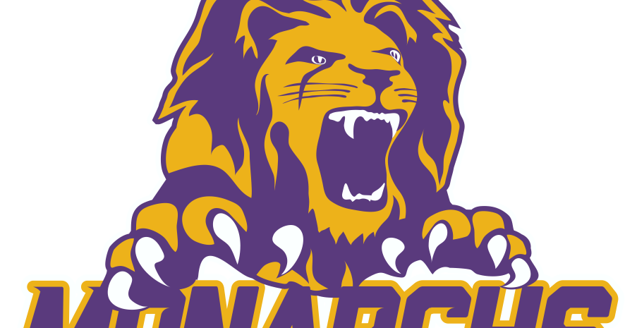 Denison-Schleswig baseball ready for postseason opener against Hawkeye Ten foe | Sports