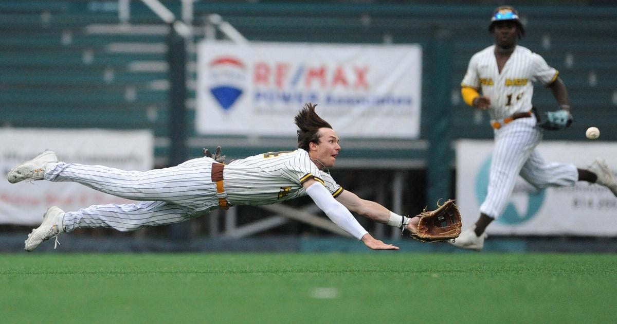 Former Mill Rats OF Jake Casey drafted by Blue Jays in 15th round | Sports