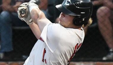 Prospect League Baseball: Bees trounce River Dragons | The Hawk Eye - Burlington, Iowa