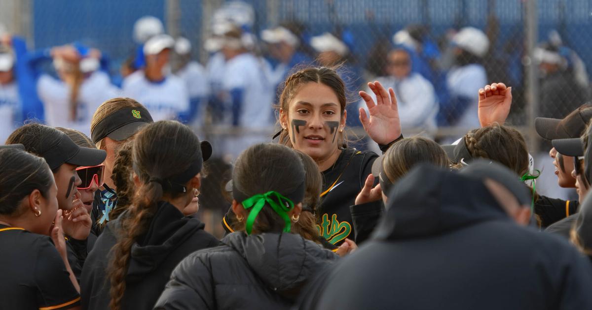 Taylor Mediano three-peats as Times All-Area Softball MVP | High School