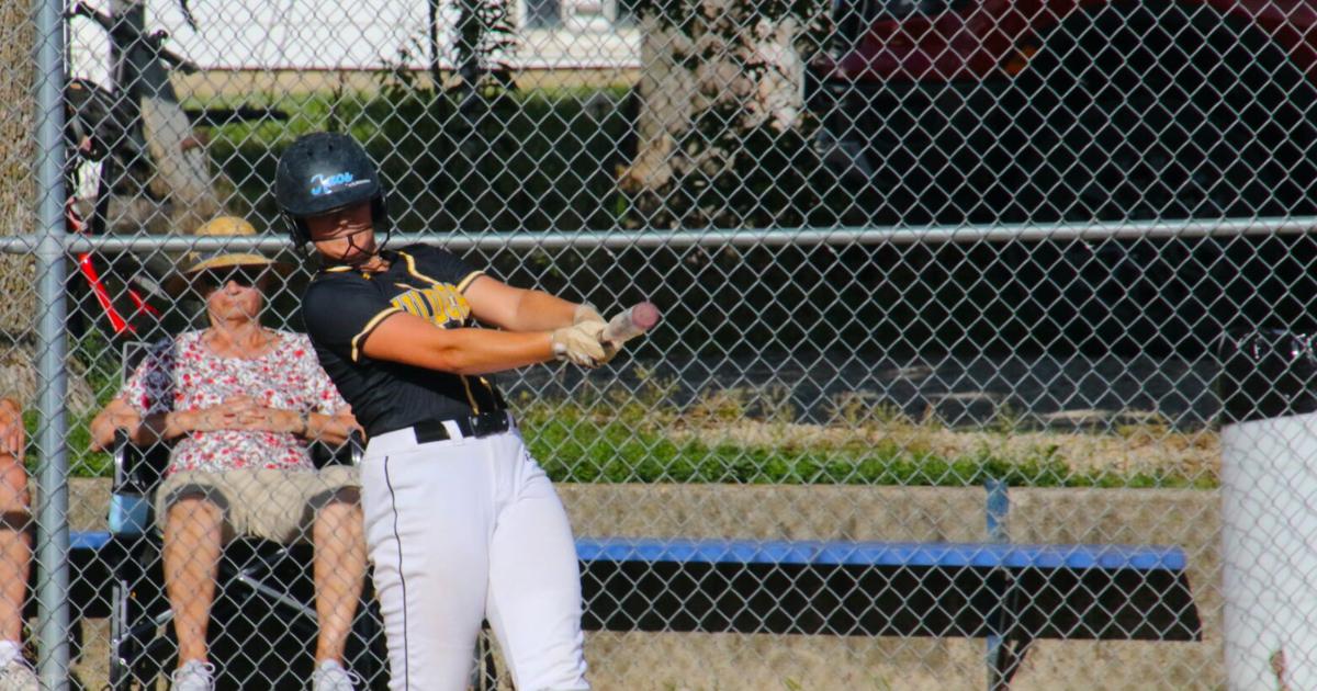 Janesville softball loses in rematch against Don Bosco | Waverly Newspapers