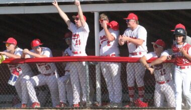 Prep baseball: Bulldogs clinch share of Iowa Alliance south title | Sports
