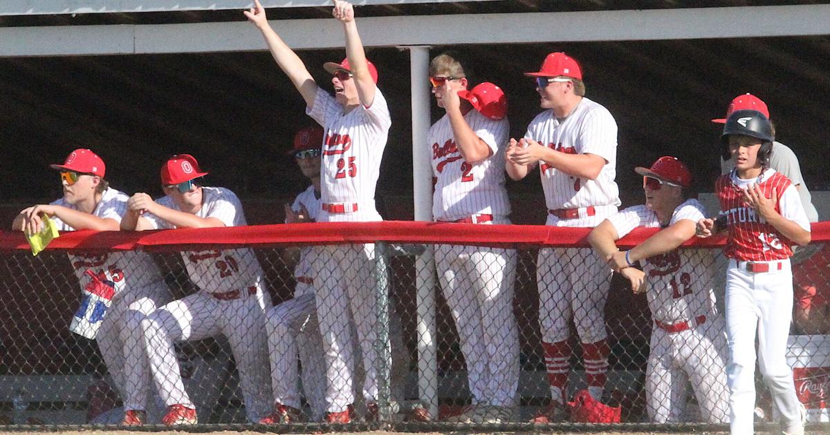 Prep baseball: Bulldogs clinch share of Iowa Alliance south title | Sports