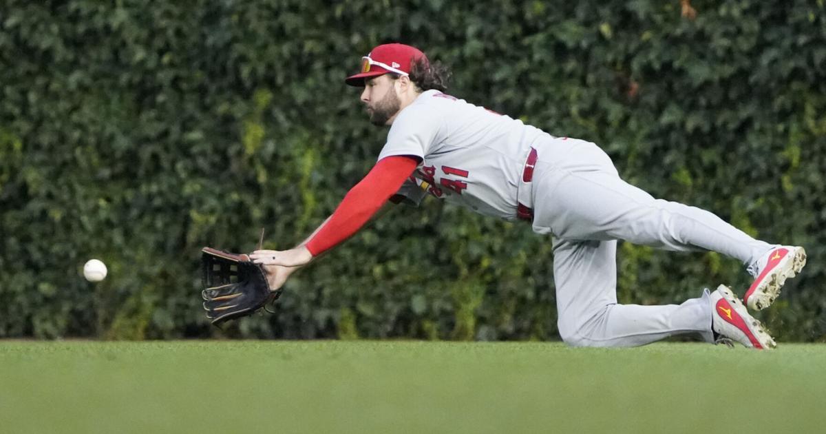 Cubs clobber Cardinals, 11-0, as Erick Fedde's problems mount in abbreviated start