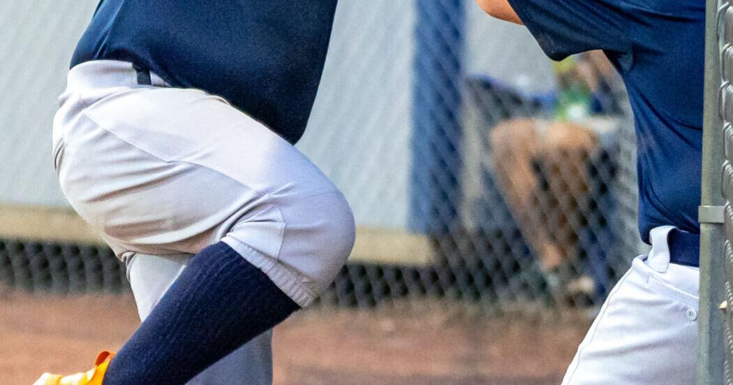 Wilkes 10U baseballers win district opener | Sports