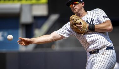Yankees cut 2-time batting champ DJ LeMahieu with nearly $22 million left on contract | National Sports