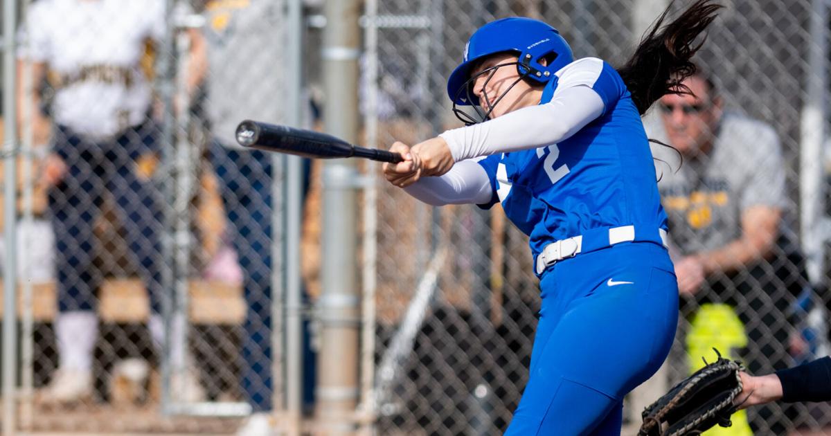 Sharpsville's Palko Class 2A Player of the Year; Vogan, Marley Bundrant, Harlan also All-State picks | Sports