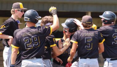 Fairview ACME baseball keeping stellar spring rolling into summer with ACME state tournament appearance | Sports