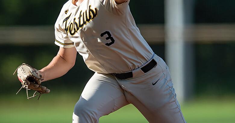 Tigers keep cranking out district championships | Sports