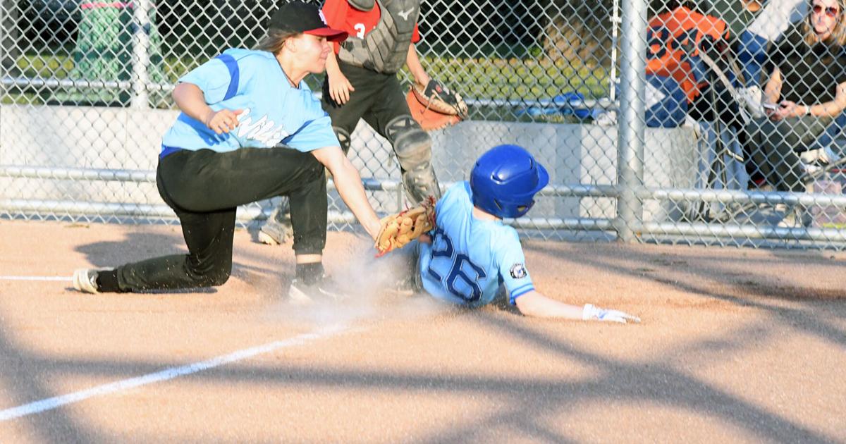 Blue Jays battle past NDG’s Blue Wildcats | Sports